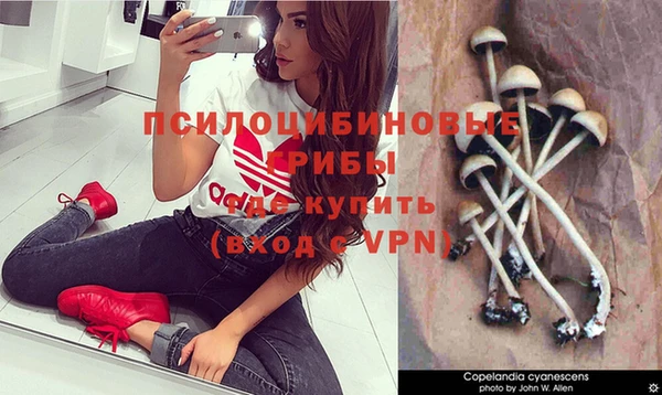 мяу мяу кристалл Карталы