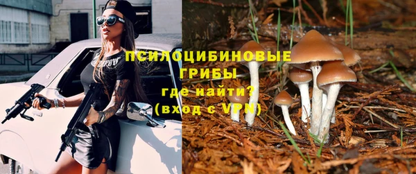 прущая мука Касимов