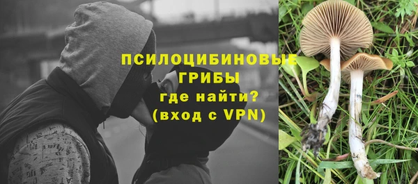 прущая мука Касимов