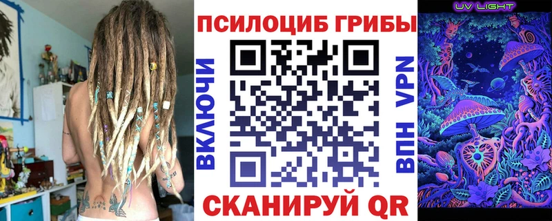 Галлюциногенные грибы GOLDEN TEACHER  Купить  Шацк 